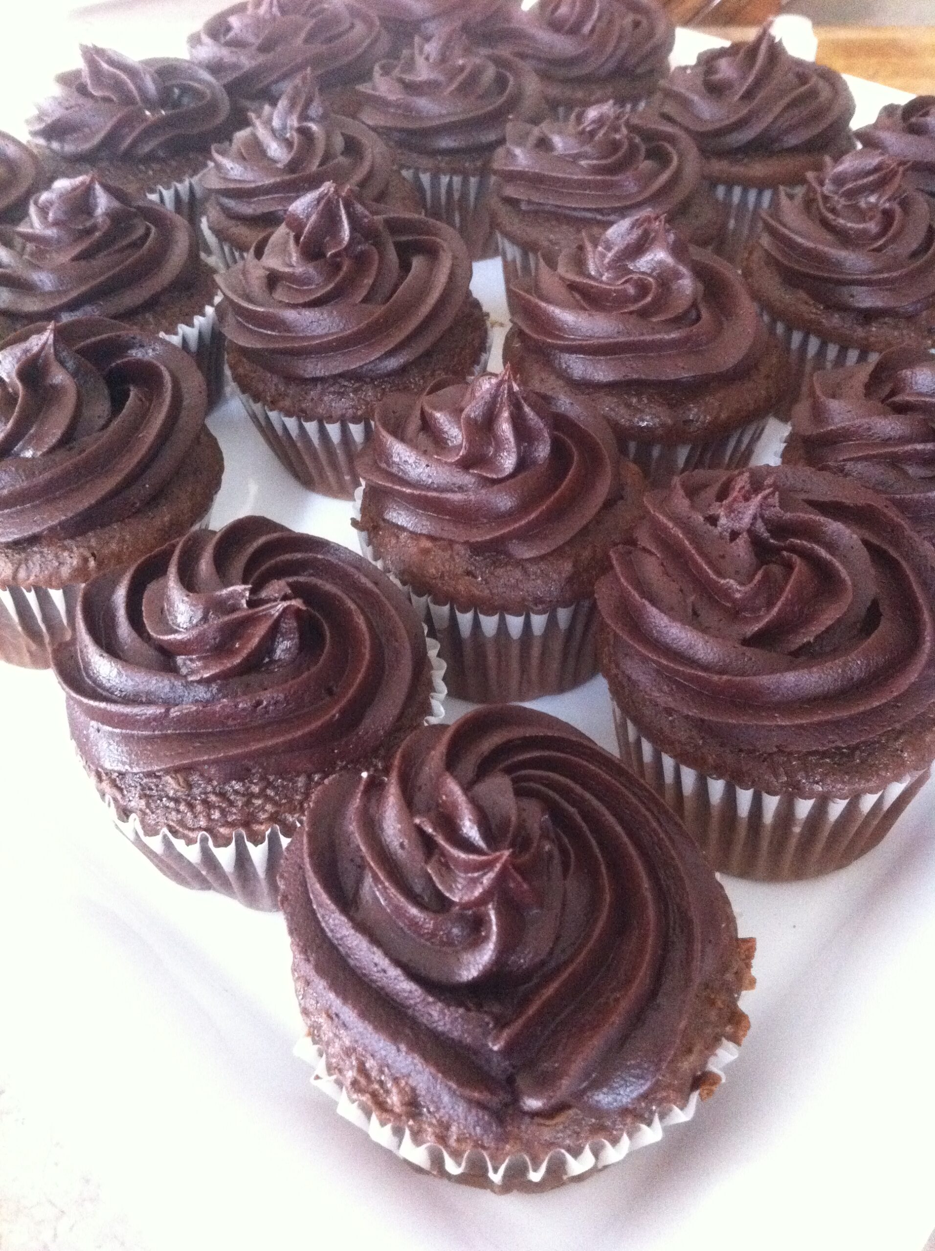 Wellesley Fudge Cupcakes 