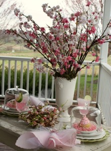 Tea under the cherry blossoms
