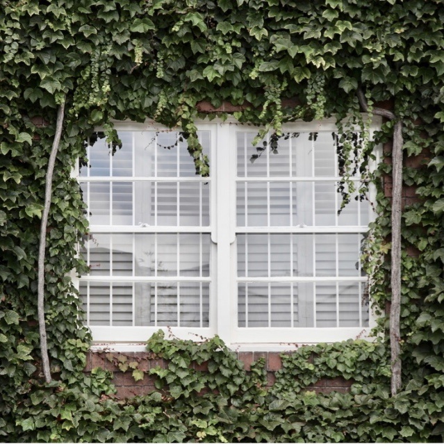 Benefits Of Installing Shutters On Your Kitchen Windows Downton Abbey   IMG 7928 